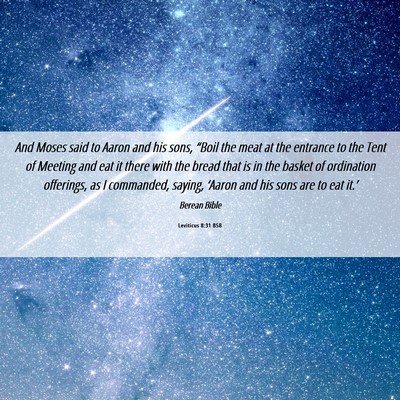 Picture 06 - Leviticus 8:31 BSB - And Moses said to Aaron and his sons, “Boil the - Bible Verse Picture