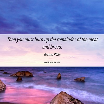 Picture 06 - Leviticus 8:32 BSB - Then you must burn up the remainder of the meat - Bible Verse Picture