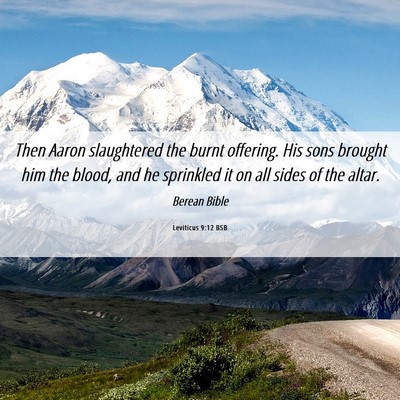 Picture 06 - Leviticus 9:12 BSB - Then Aaron slaughtered the burnt offering. His - Bible Verse Picture