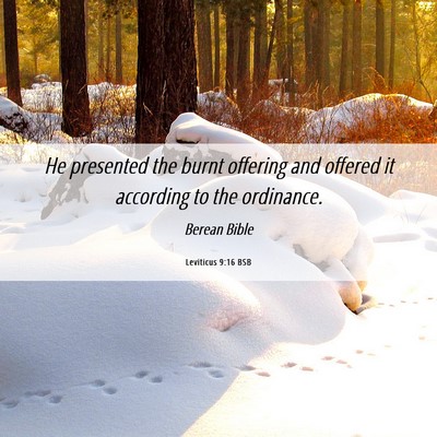 Picture 06 - Leviticus 9:16 BSB - He presented the burnt offering and offered it - Bible Verse Picture