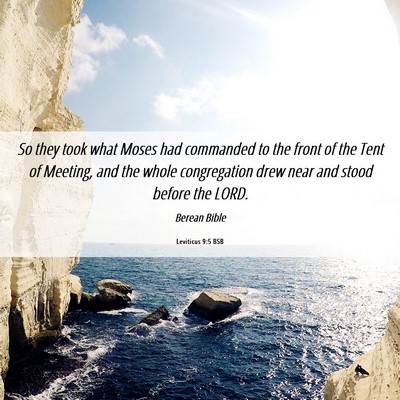 Picture 06 - Leviticus 9:5 BSB - So they took what Moses had commanded to the - Bible Verse Picture