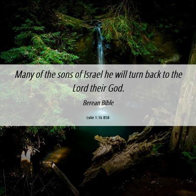Picture 06 - Luke 1:16 BSB - Many of the sons of Israel he will turn back to - Bible Verse Picture