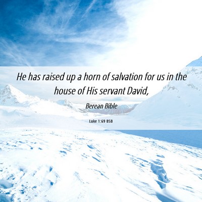 Picture 06 - Luke 1:69 BSB - He has raised up a horn of salvation for us in - Bible Verse Picture