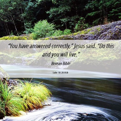Picture 06 - Luke 10:28 BSB - “You have answered correctly,” Jesus said. - Bible Verse Picture
