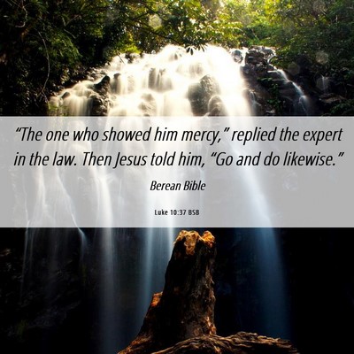 Picture 06 - Luke 10:37 BSB - “The one who showed him mercy,” replied the - Bible Verse Picture