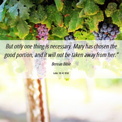 Picture 06 - Luke 10:42 BSB - But only one thing is necessary. Mary has chosen - Bible Verse Picture