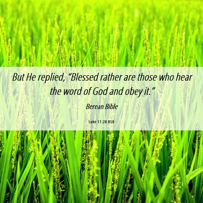 Picture 06 - Luke 11:28 BSB - But He replied, “Blessed rather are those who - Bible Verse Picture