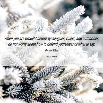 Picture 06 - Luke 12:11 BSB - When you are brought before synagogues, rulers, - Bible Verse Picture