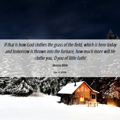 Picture 06 - Luke 12:28 BSB - If that is how God clothes the grass of the - Bible Verse Picture