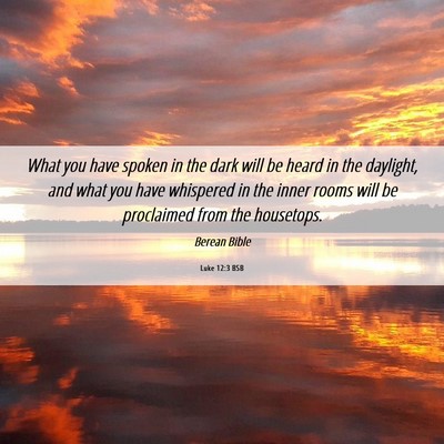 Picture 06 - Luke 12:3 BSB - What you have spoken in the dark will be heard in - Bible Verse Picture
