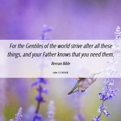 Picture 06 - Luke 12:30 BSB - For the Gentiles of the world strive after all - Bible Verse Picture