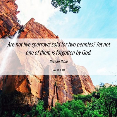 Picture 06 - Luke 12:6 BSB - Are not five sparrows sold for two pennies? Yet - Bible Verse Picture