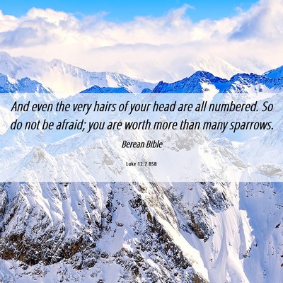 Picture 06 - Luke 12:7 BSB - And even the very hairs of your head are all - Bible Verse Picture