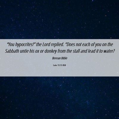 Picture 06 - Luke 13:15 BSB - “You hypocrites!” the Lord replied. “Does - Bible Verse Picture