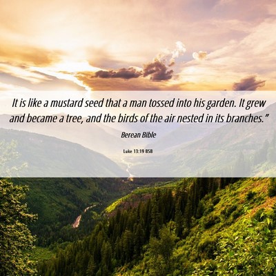 Picture 06 - Luke 13:19 BSB - It is like a mustard seed that a man tossed into - Bible Verse Picture