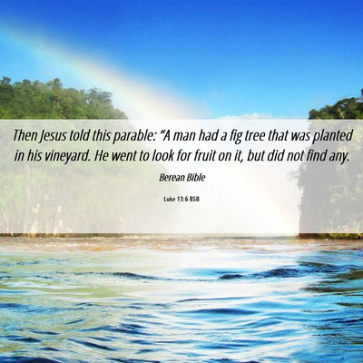 Picture 06 - Luke 13:6 BSB - Then Jesus told this parable: “A man had a fig - Bible Verse Picture