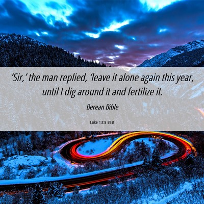 Picture 06 - Luke 13:8 BSB - ‘Sir,’ the man replied, ‘leave it alone - Bible Verse Picture