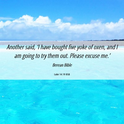 Picture 06 - Luke 14:19 BSB - Another said, ‘I have bought five yoke of oxen, - Bible Verse Picture
