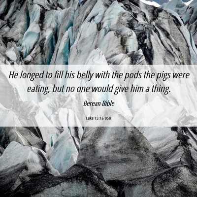 Picture 06 - Luke 15:16 BSB - He longed to fill his belly with the pods the - Bible Verse Picture