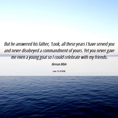 Picture 06 - Luke 15:29 BSB - But he answered his father, ‘Look, all these - Bible Verse Picture