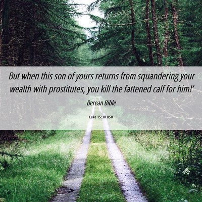 Picture 06 - Luke 15:30 BSB - But when this son of yours returns from - Bible Verse Picture