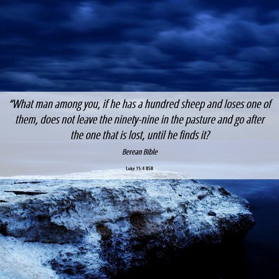 Picture 06 - Luke 15:4 BSB - “What man among you, if he has a hundred sheep - Bible Verse Picture