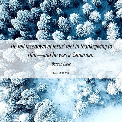 Picture 06 - Luke 17:16 BSB - He fell facedown at Jesus’ feet in thanksgiving - Bible Verse Picture