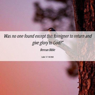 Picture 06 - Luke 17:18 BSB - Was no one found except this foreigner to return - Bible Verse Picture