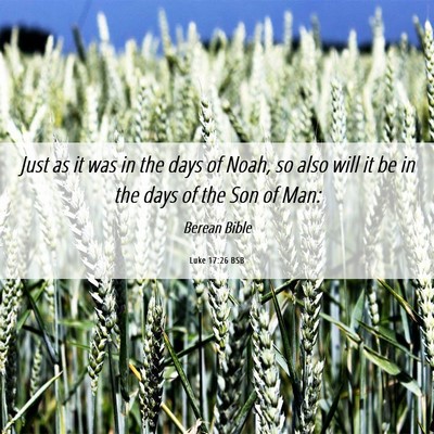 Picture 06 - Luke 17:26 BSB - Just as it was in the days of Noah, so also will - Bible Verse Picture