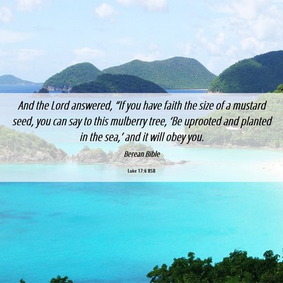 Picture 06 - Luke 17:6 BSB - And the Lord answered, “If you have faith the - Bible Verse Picture