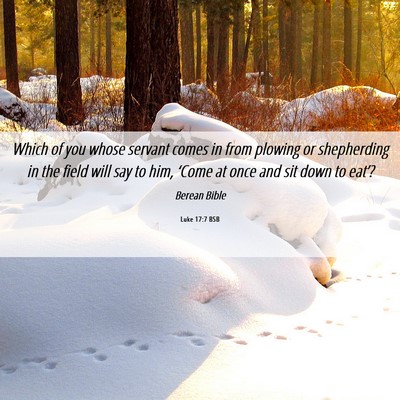 Picture 06 - Luke 17:7 BSB - Which of you whose servant comes in from plowing - Bible Verse Picture