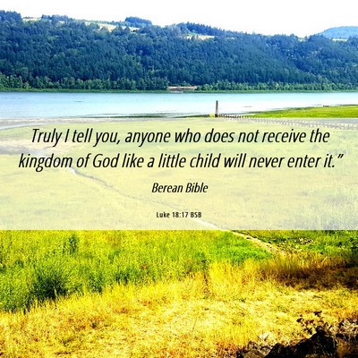 Picture 06 - Luke 18:17 BSB - Truly I tell you, anyone who does not receive the - Bible Verse Picture