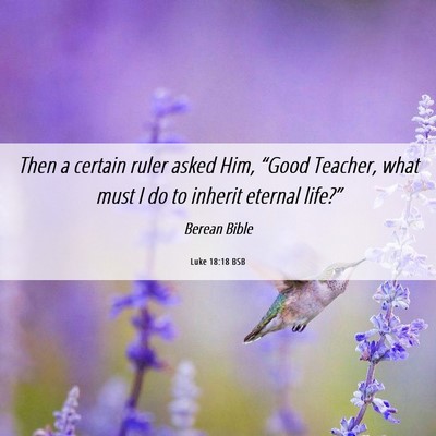 Picture 06 - Luke 18:18 BSB - Then a certain ruler asked Him, “Good Teacher, - Bible Verse Picture
