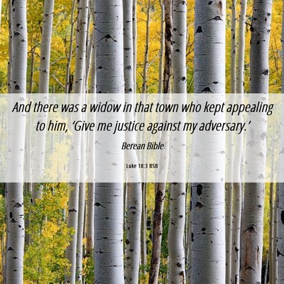 Picture 06 - Luke 18:3 BSB - And there was a widow in that town who kept - Bible Verse Picture