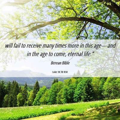 Picture 06 - Luke 18:30 BSB - will fail to receive many times more in this - Bible Verse Picture