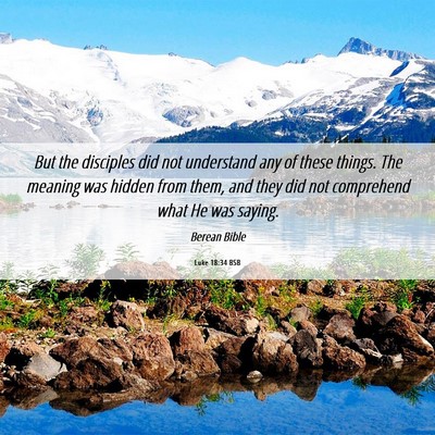 Picture 06 - Luke 18:34 BSB - But the disciples did not understand any of these - Bible Verse Picture