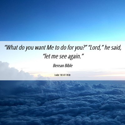Picture 06 - Luke 18:41 BSB - “What do you want Me to do for you?” - Bible Verse Picture