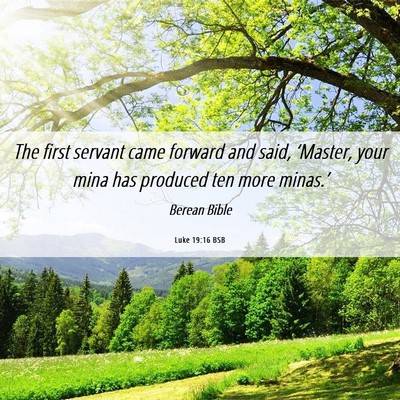 Picture 06 - Luke 19:16 BSB - The first servant came forward and said, - Bible Verse Picture