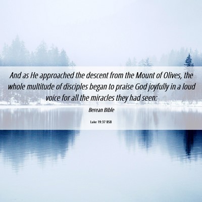 Picture 06 - Luke 19:37 BSB - And as He approached the descent from the Mount - Bible Verse Picture