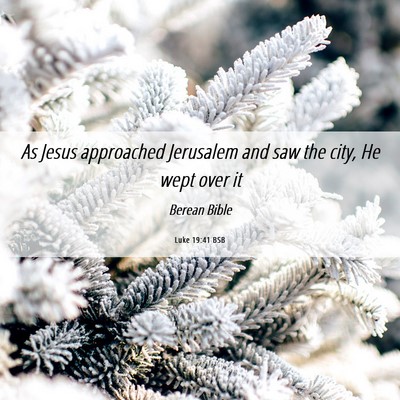 Picture 06 - Luke 19:41 BSB - As Jesus approached Jerusalem and saw the city, - Bible Verse Picture