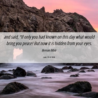 Picture 06 - Luke 19:42 BSB - and said, “If only you had known on this day - Bible Verse Picture