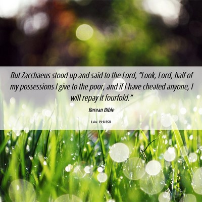 Picture 06 - Luke 19:8 BSB - But Zacchaeus stood up and said to the Lord, - Bible Verse Picture