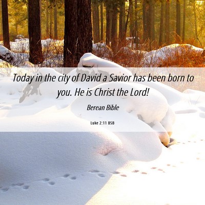 Picture 06 - Luke 2:11 BSB - Today in the city of David a Savior has been born - Bible Verse Picture
