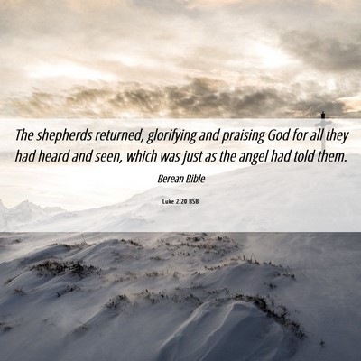 Picture 06 - Luke 2:20 BSB - The shepherds returned, glorifying and praising - Bible Verse Picture