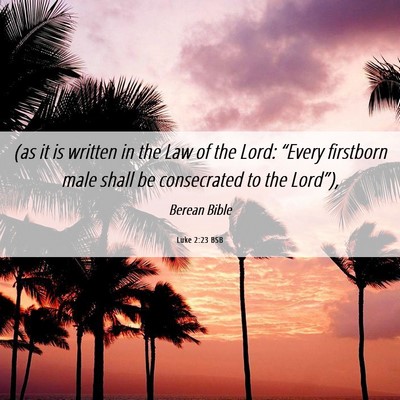 Picture 06 - Luke 2:23 BSB - (as it is written in the Law of the Lord: - Bible Verse Picture