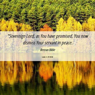 Picture 06 - Luke 2:29 BSB - “Sovereign Lord, as You have promised, You now - Bible Verse Picture