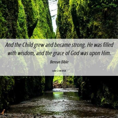 Picture 06 - Luke 2:40 BSB - And the Child grew and became strong. He was - Bible Verse Picture