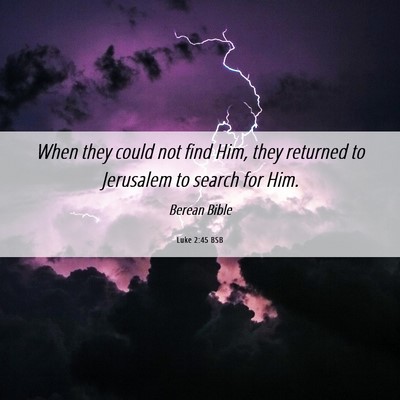 Picture 06 - Luke 2:45 BSB - When they could not find Him, they returned to - Bible Verse Picture