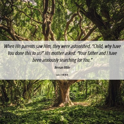 Picture 06 - Luke 2:48 BSB - When His parents saw Him, they were astonished. - Bible Verse Picture