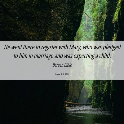 Picture 06 - Luke 2:5 BSB - He went there to register with Mary, who was - Bible Verse Picture
